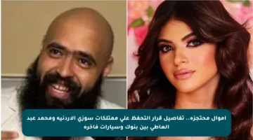 أموال محتجزة.. تفاصيل قرار التحفظ على ممتلكات سوزي الأردنية ومحمد عبد العاطي بين بنوك وسيارات فاخرة